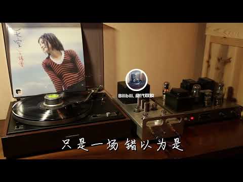 王靖雯 《影子》 黑胶试听