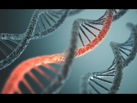 Are Drug Addicts Born Susceptible?