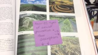 Chapter 9 Sticky Notes pgs. 222-239 SA