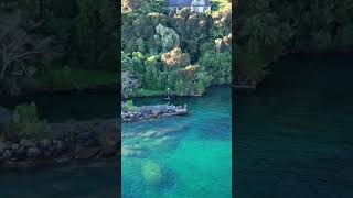 Paradise - lost at a swimming hole | NZ TRAVEL #shorts #viral #trending #dji