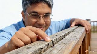 म एक्लै रमाउछु #nepalisong # newnepalisong#foryou #falowers #viralnepalisong म एक्लै रमाउछु #nepalisong # newnepalisong#foryou #falowers #viralnepalisong