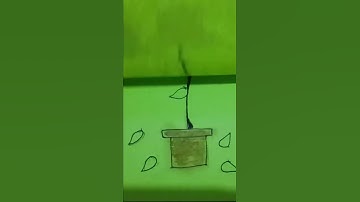 Two-Image Sequence File Submission