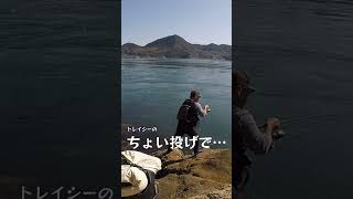 トレイシーをちょい投げしてみたら…