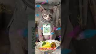 Поторопись🐱🤫🤙