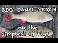 Big Canal Perch on the simplest of rigs