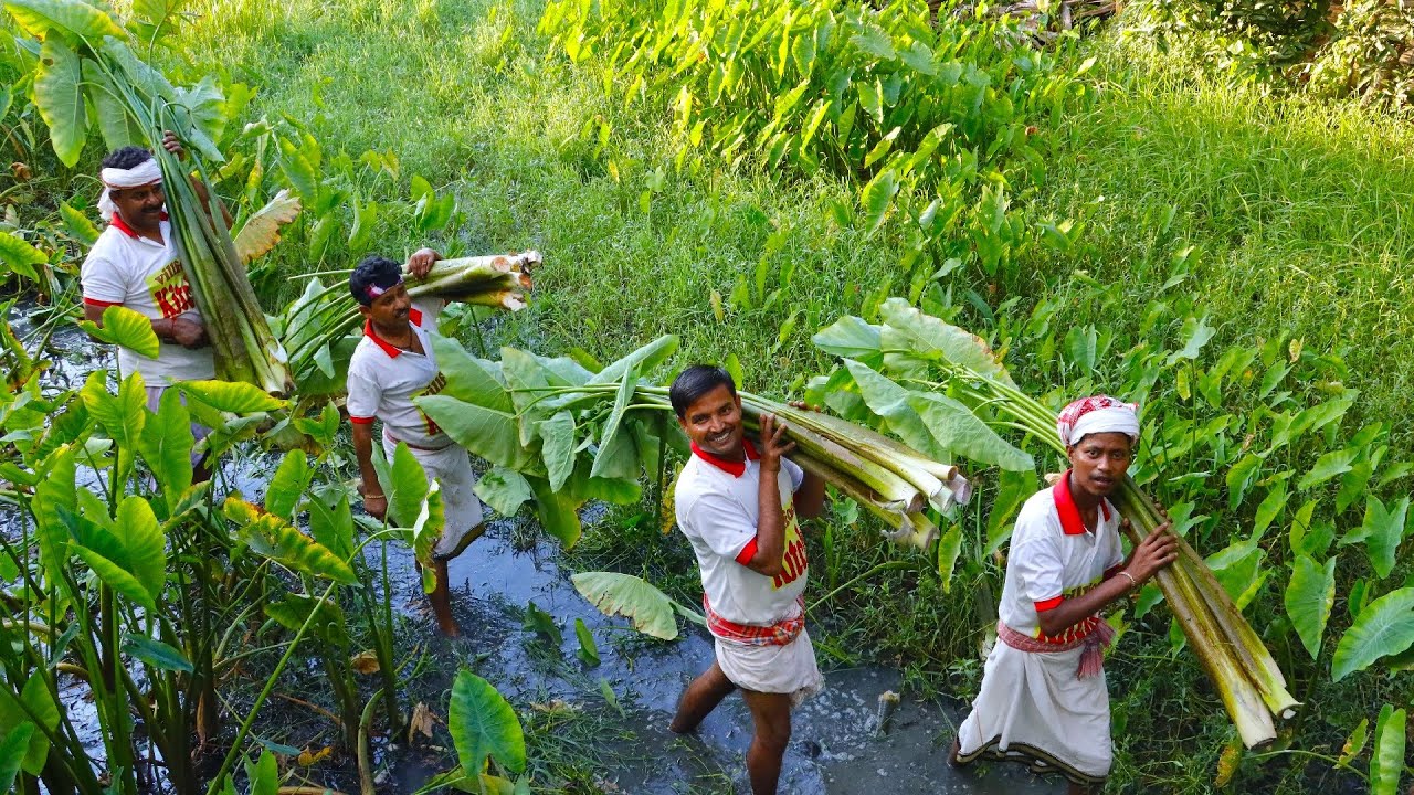চিংড়ি মাছ দিয়ে কচু শাক রান্না | Bengali famous Chingri Kochu Shak recipe | villfood Kitchen