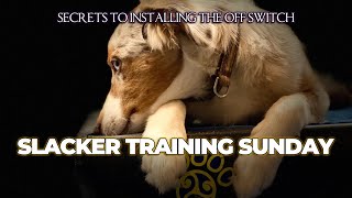 Slacker Training Sunday: Off Switch Training & Primal Games | DiscDog Dojo #133 πΆπ₯π€