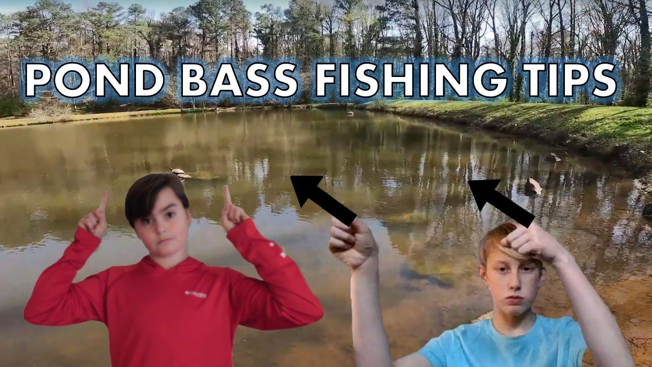 Pond Bass Fishing Tips For EVERYONE YouTube