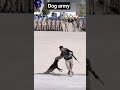 army #dog army #life syle#highlights #loud ARMY FANS SUPPORT #loudcrowd