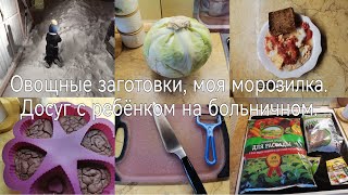 Овощные заготовки, моя морозилка