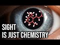 Vision Is Actually A Chemical Reaction