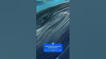 Thumbnail of Arctic Whales #song #composer #songwriter