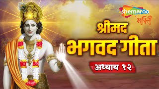Watch on YouTube