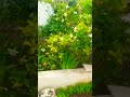 يا مسلمين صلو على النبي يا مسلمين صلو على النبي