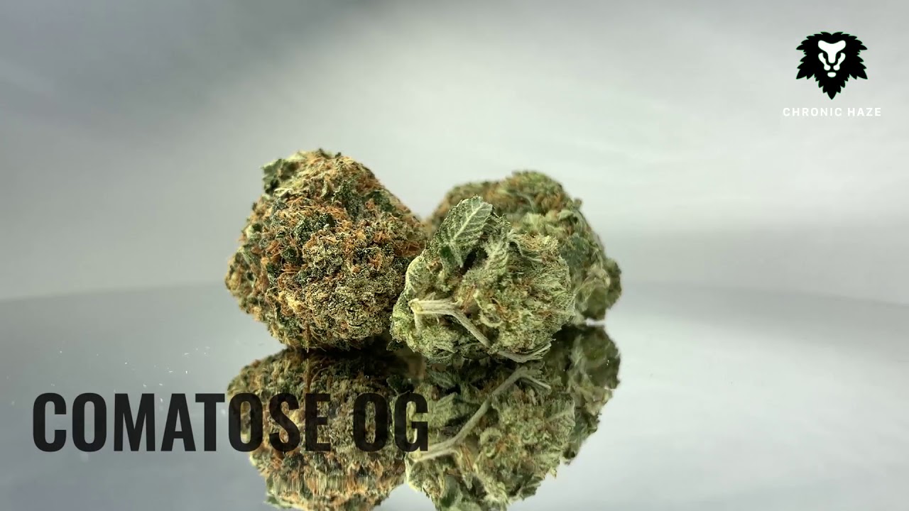Chronic Haze - Comatose Og