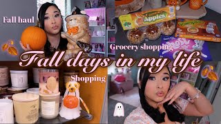 FALL DAYS IN MY LIFEππ:visiting family, shopping, fall vibes, girly haul, & grocery shopping