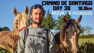 Arzúa - O Pedrouzo | Camino de Santiago
