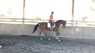 Parker Flat: Canter Right Lead