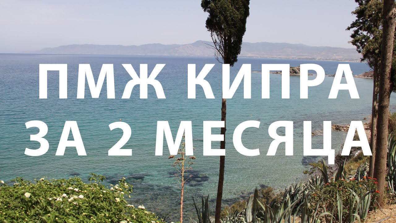 Ожидание решения и дальнейшие шаги