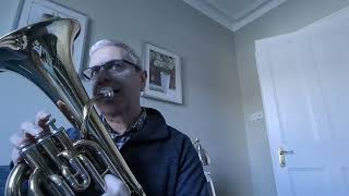 I bought a Baritone for £90, Can I play it?
Recorded on my mobile phone.
The horn had a dented and jammed first valve and all the slides were stuck solid. I bought a Baritone for £90, Can I play it?