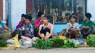 Harvesting Wild Vegetables To Sell In Highland Markets, Gardening, Mountain Family Life Ep.65