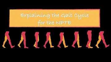 Explaining the Gait Cycle for the NPTE