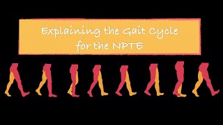 Explaining the Gait Cycle for the NPTE