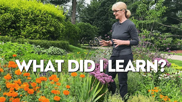 My New Flower Garden: Successes, Challenges, and Lessons Learned - DayDayNews