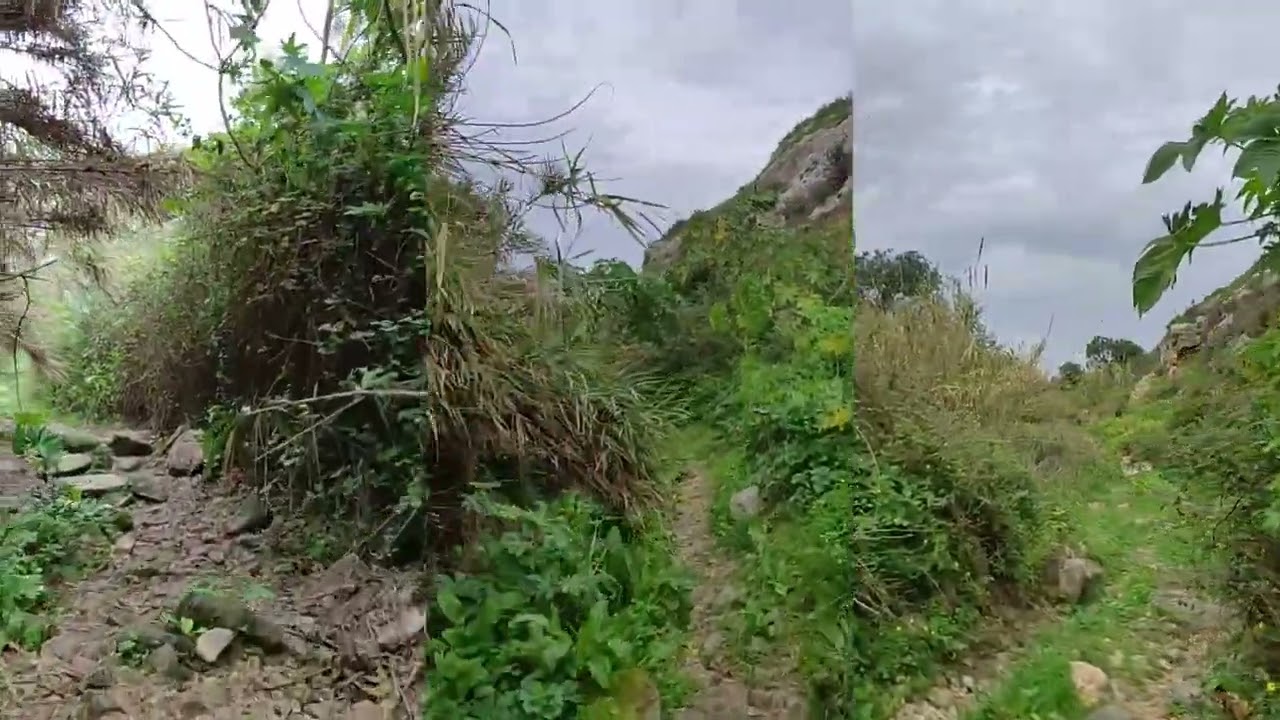 Wied Qirda, Hal Qormi