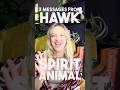 🌟 3 Messages from the Hawk Spirit Animal | Channeling with Rachel Hope Medium