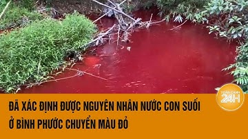Nước suối ở tỉnh Bình Phước đỏ ngòm vì lý do khó tin | Toàn cảnh 24h