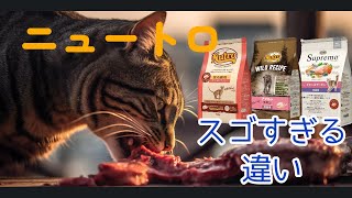 【フード】すごすぎる違い！猫にケアに
