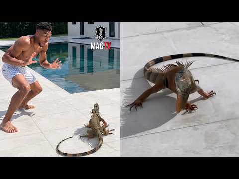 NBA Star Giannis Antetokounmpo FREAKS Out Finding Iguana At New Miami Mansion! 😱