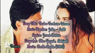 Tauba Tumhare Ishare | Lyrics | Chalte Chalte (2003) | Alka Yagnik, Abhijeet