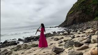 Spring Breeze —practice with Roland Aerophone Pro