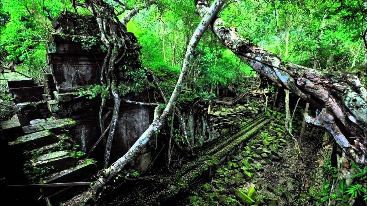 Темный лес с тропинкой. Заброшенный храм в джунглях. Дебри мест. Дебри. Развалины в джунглях.