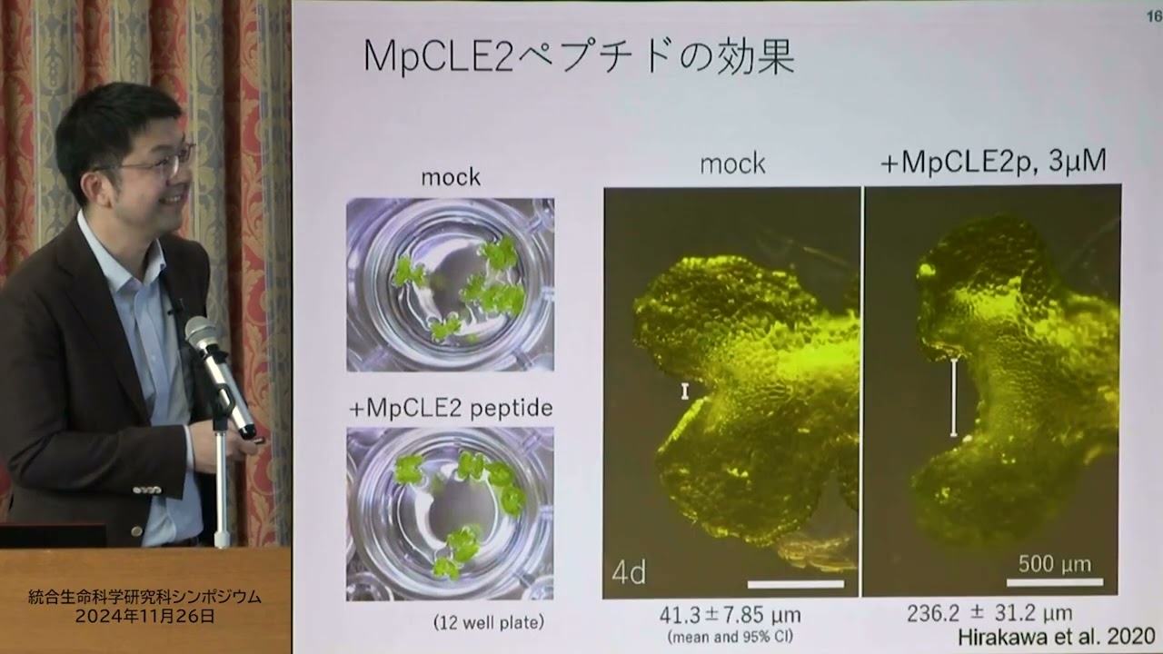 陸上植物の発生における分裂組織の役割と制御機構 - YouTube