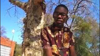 Ras Boom: Badlala Ngami