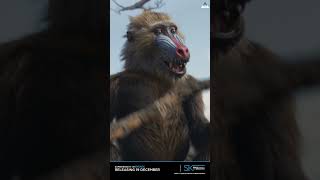Mufasa: The Lion King | Experience it in IMAX® | Ster-Kinekor