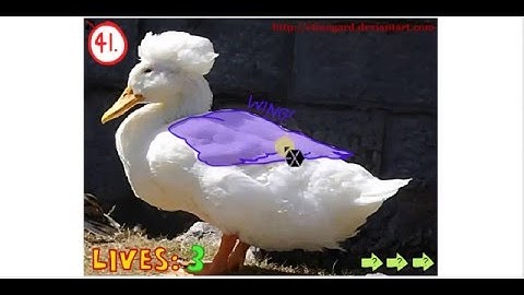 The Impossible Quiz Quick Walkthrough Levels 1-50