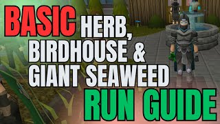 Simple BUT Effective Herb, Birdhouse & Giant Seaweed Run Guide!