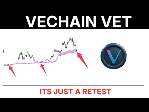 Video preview for Insane VECHAIN VET Support Band Update