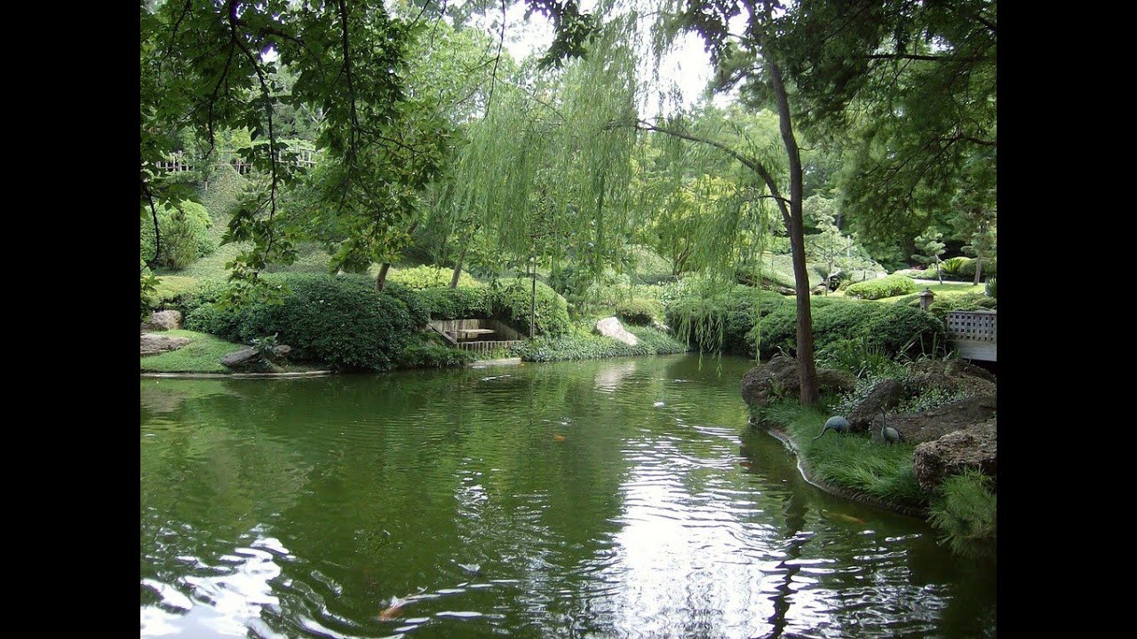 Best Scene Reading: TV Pilot: MY LIFE WITH STELLA KANE" by Linda Morganstein