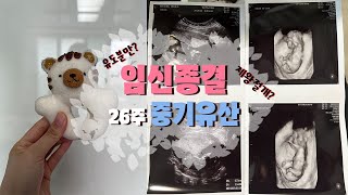 [vlog] 26주 중기유산 | 임신종결 | 대학병원 전원 | 유도분만 | 20대 신혼부부