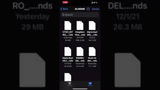 WORKING DS EMULATOR FOR IOS/IPHONE!!! screenshot 3