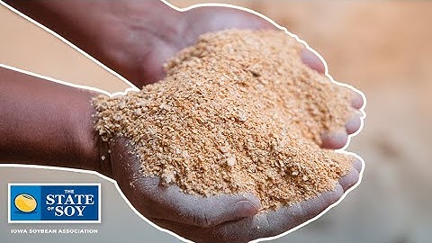 Soybean Crush Expansion Benefiting Livestock Producers