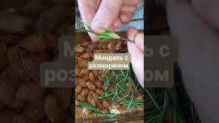 Миндаль с розмарином #рецепты #рецепт #новыйрецепт #еда #миндаль #shorts #cooking