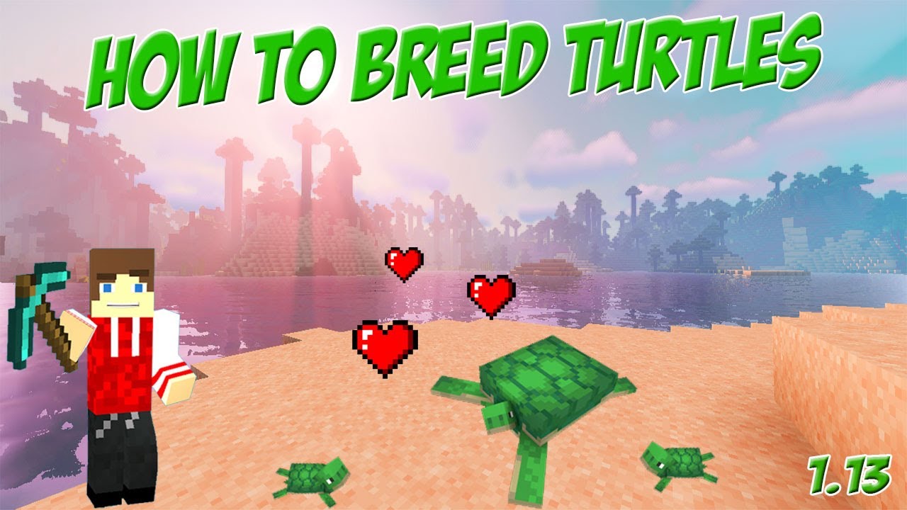 How to Breed Turtles in Minecraft - YouTube