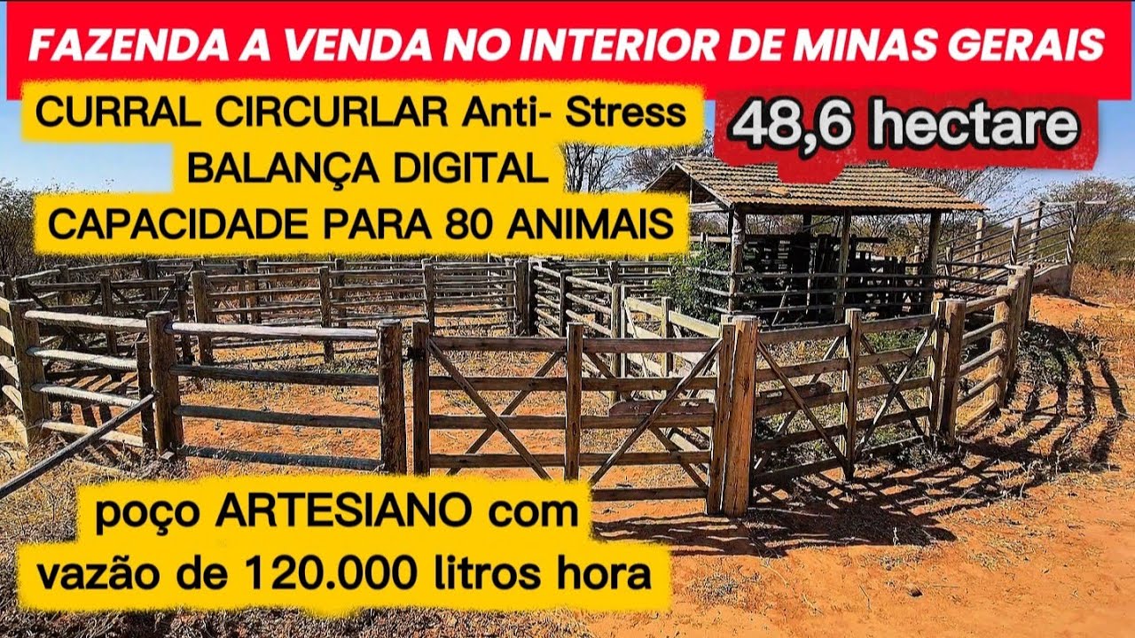 ** VENDIDO** APENAS 13 MIL POR HECTARE. FAZENDA ÓTIMA PARA PECUÁRIA LEITEIRA. VERDELÂNDIA-MG.