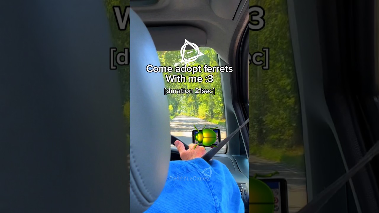 Any ferret therians :D? 